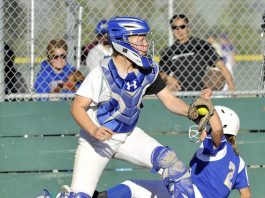 Roundup: Softball teams fall in season closer