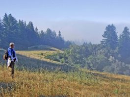 Getting Out: Nature is the best medicine