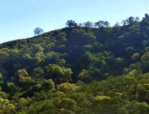 Tournament’s huge economic impact