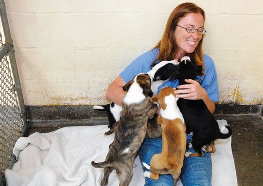 Free pet adoption this weekend