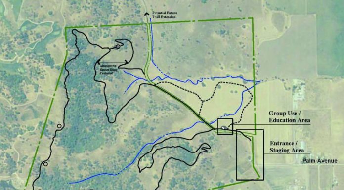 Coming up: Fun for foodies, familes and nature lovers