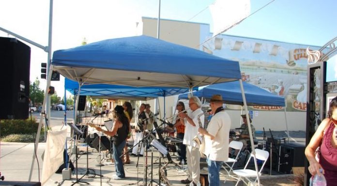 Wine stroll numbers down from previous years