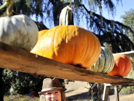 Organic produce now available at Hoey Ranch