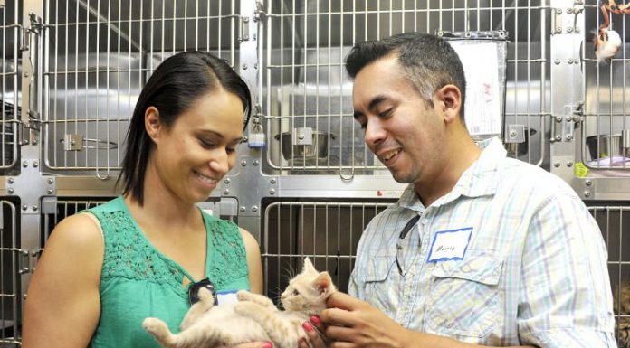 Free pet adoption event a tail-wagging success