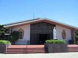 Catholic ministry reaches out to young adults