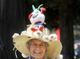 G-fest plant and herb decorations on sale today only