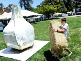 An amazing garlic fairy tale