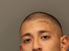 GPD still looking for carjacking suspect