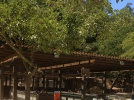 Mulberry Picnic Area renovations near completion
