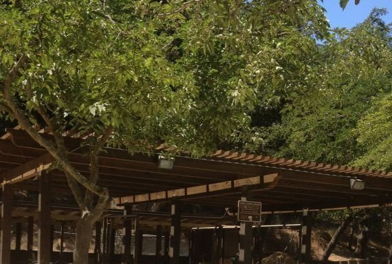 Mulberry Picnic Area renovations near completion