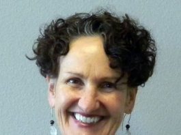 Community Solutions names Lisa Davis COO