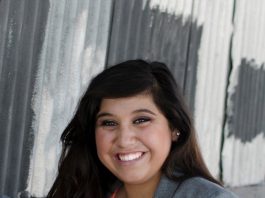 A new annual music festival for Gilroy?