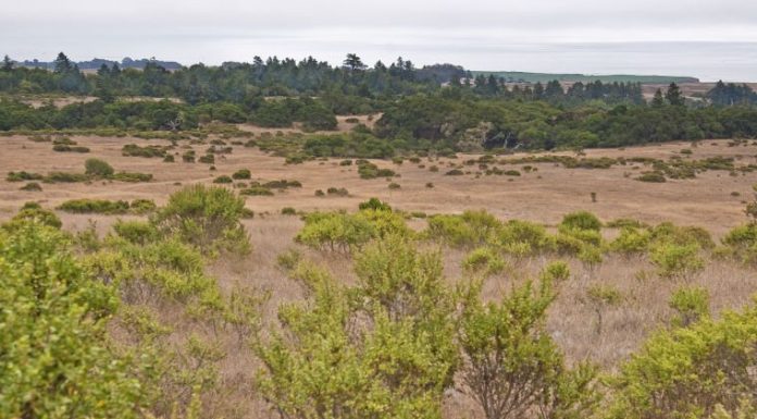 Getting Out: Wilder Ranch has something for everything