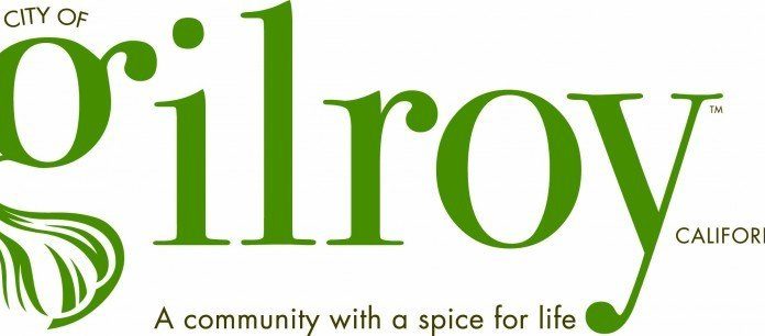 Council picks General Plan committee members