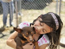 This month: Free adoptions for dogs, cats that are 4 months and older