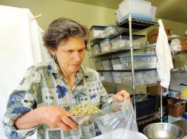 Brewing her business