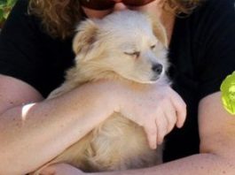 Today is the deadline to send in your dog’s photo!