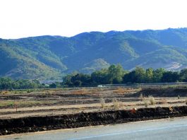 City: Development on hold