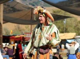 DUI checkpoint to target Renaissance Faire