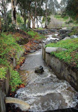 Cleanup Day at Uvas Creek Sept. 21
