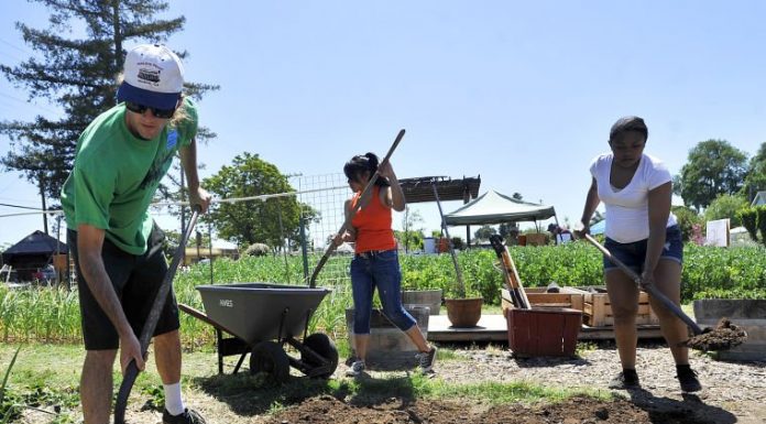 Don’t miss out: Gilroy Demonstration Garden Farm to Table dinner