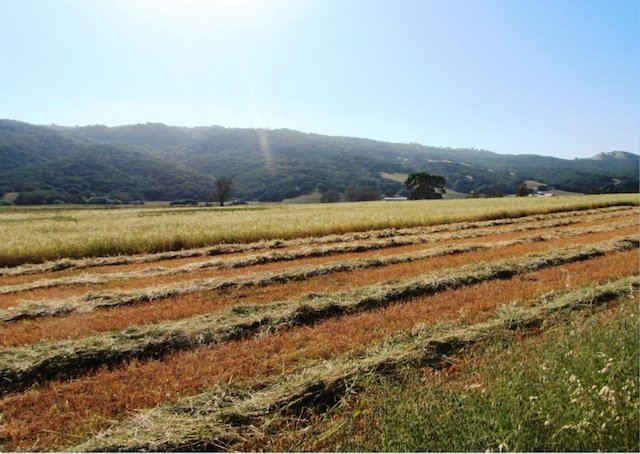 SCVWD review of Open Space Credit Policy concerns farmers