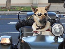 Niner: Welcoming soldiers home