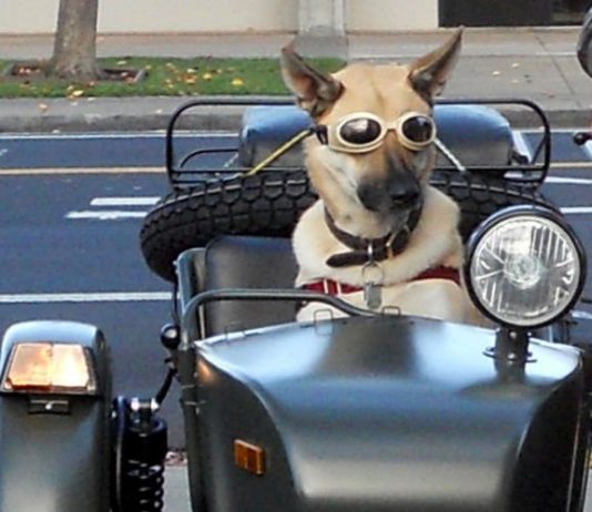 Niner: Welcoming soldiers home