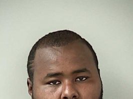 Police arrest two burglary suspects after pursuit