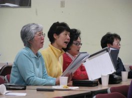 Program brings seniors into the light