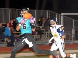 Prep Football: Cougars lose emotional game to Everett Alvarez