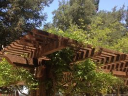 Pay up to drink in Gilroy parks