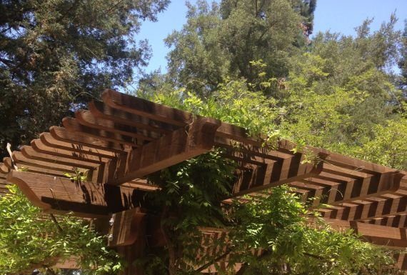 Pay up to drink in Gilroy parks