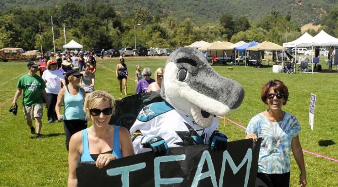 Relay for Life: Organizers sound the call for participation, fundraising