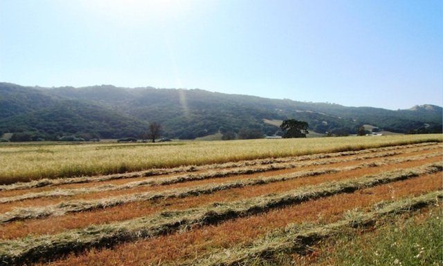 Farm Bureau roundup: Water rates, minimum wage, electric vehicle charging stations