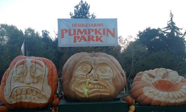 Costumed kids take over downtown MH for Halloween