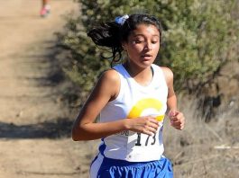 Avila victorious at CCS Cross-Country Championships