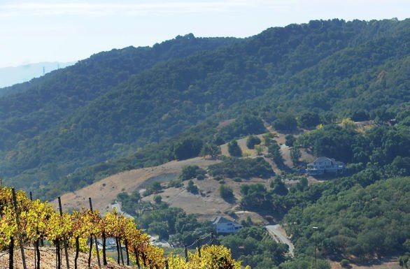 County adopts directional signs for wineries