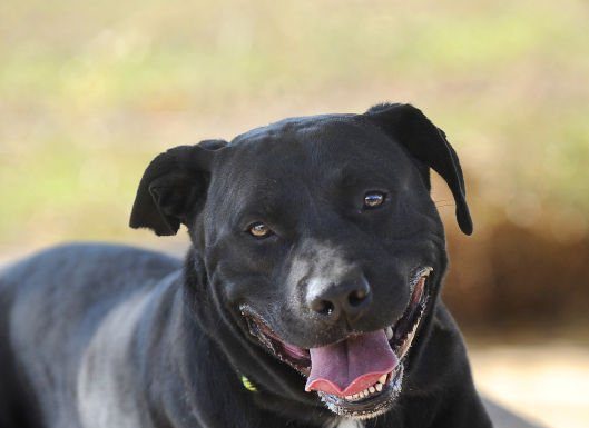 Dakota needs a family