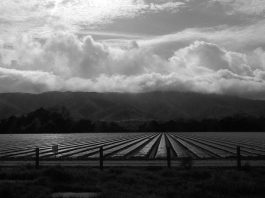 Freeze watch in effect for South County this week