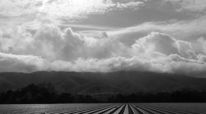 Freeze watch in effect for South County this week