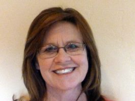 Feral cats are killing our native birds