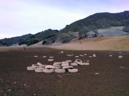 Rain, rain coming our way