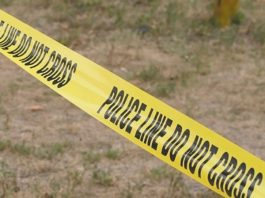 Police: Carjacker bullies victim, attempts to steal vehicle