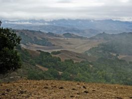 Getting Out: Exploring Bill’s Hill