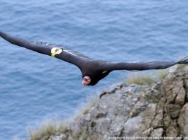 2013: Bad weather, good legislation