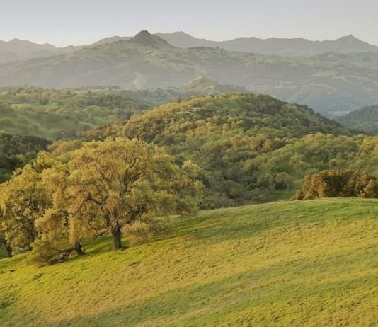 Getting Out: Spring into events at Henry Coe Park