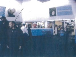 Dog left to die in stolen car