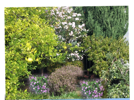 Enhance Curbside Appeal To Sell Your Home