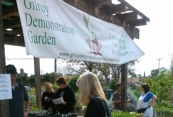 Bloom into spring at Gilroy Demo Garden